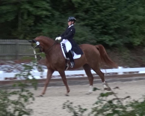 Reitturnier Mettmann - Reitanlage Löckenhoff 2017