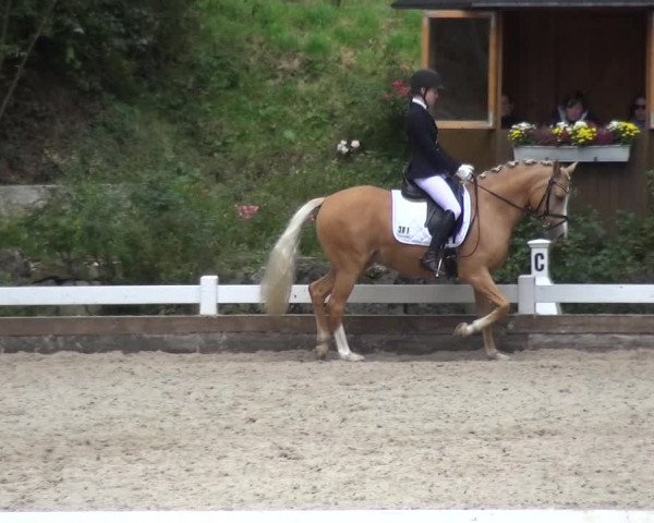 Reitturnier Mettmann - Reitanlage Löckenhoff 2017
