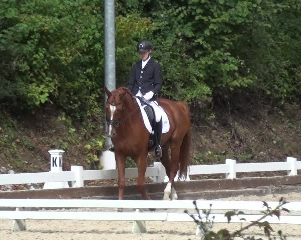 Reitturnier Mettmann - Reitanlage Löckenhoff 2017