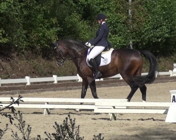 Reitturnier Mettmann - Reitanlage Löckenhoff 2017
