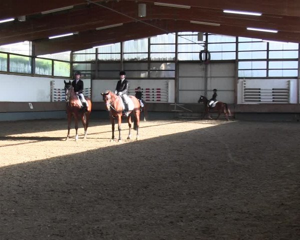 Reitturnier Meinerzhagen 2017