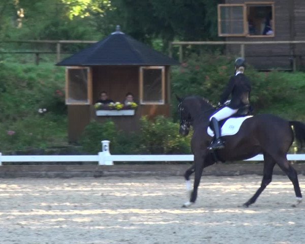 Reitturnier Mettmann - Reitanlage Löckenhoff 2017