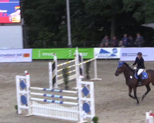 Reitturnier Buchenhof-Ibbenbüren 2017