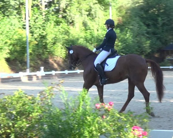Reitturnier Mettmann - Reitanlage Löckenhoff 2017