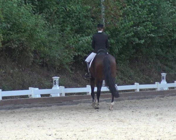 Reitturnier Mettmann - Reitanlage Löckenhoff 2017