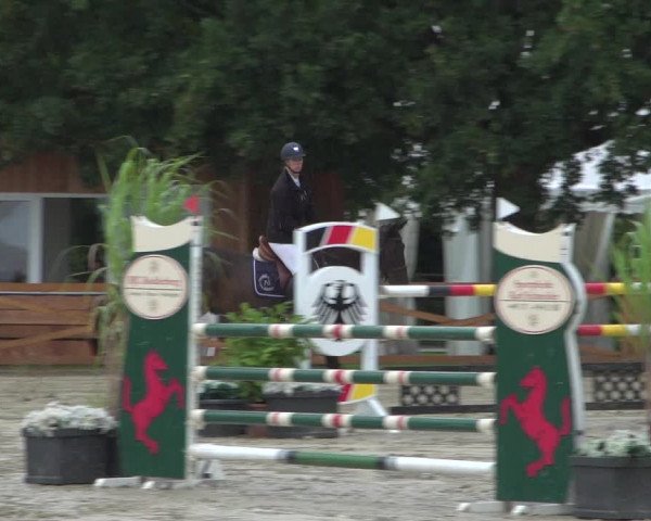 Reitturnier Köln - Reitanlage Brüse 2017