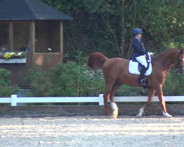 Reitturnier Mettmann - Reitanlage Löckenhoff 2017