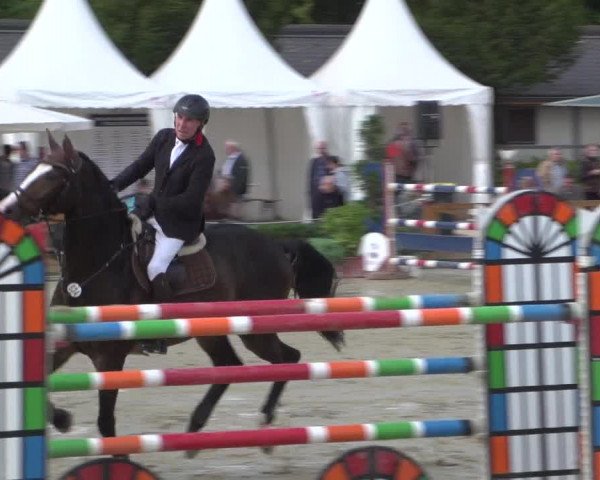 Reitturnier Köln - Reitanlage Brüse 2017