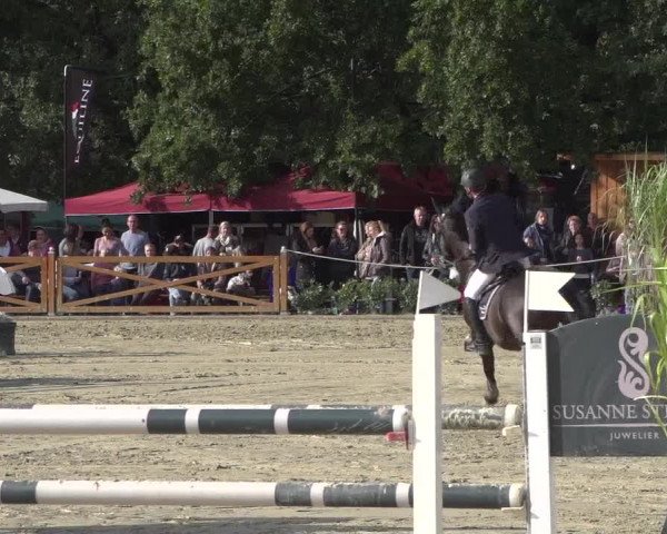 Reitturnier Köln - Reitanlage Brüse 2017