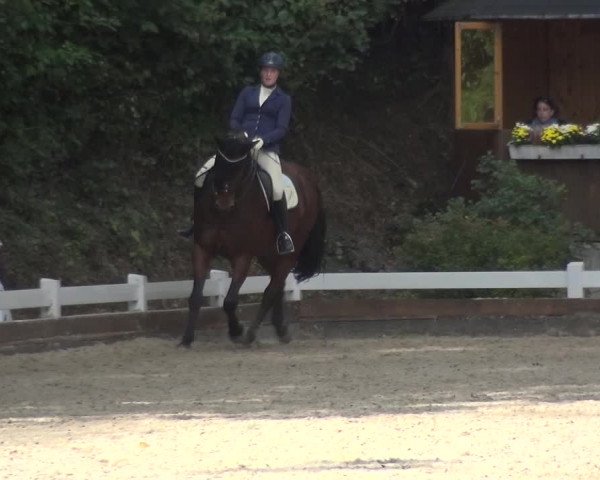Reitturnier Mettmann - Reitanlage Löckenhoff 2017