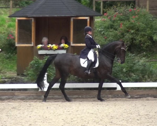 Reitturnier Mettmann - Reitanlage Löckenhoff 2017