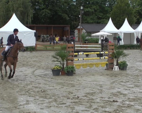Reitturnier Köln - Reitanlage Brüse 2017