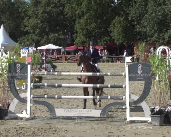 Reitturnier Köln - Reitanlage Brüse 2017