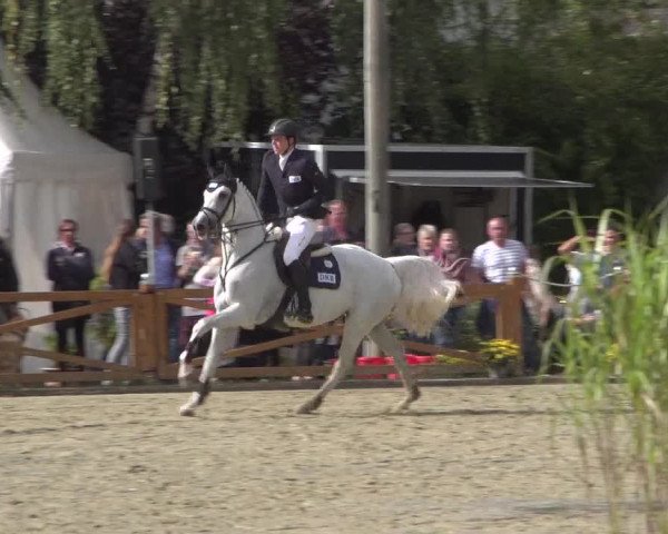 Reitturnier Köln - Reitanlage Brüse 2017