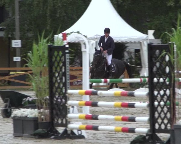 Reitturnier Köln - Reitanlage Brüse 2017