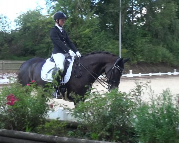 Reitturnier Mettmann - Reitanlage Löckenhoff 2017