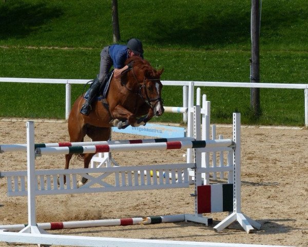 jumper Everybodies Darling (Bavarian, 2002, from Exodus)