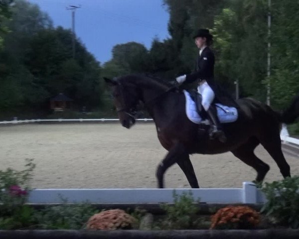 Reitturnier Mettmann - Reitanlage Löckenhoff 2017