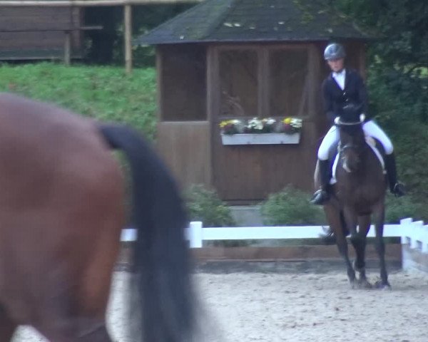 Reitturnier Mettmann - Reitanlage Löckenhoff 2017