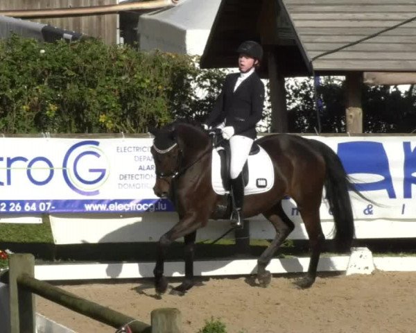Reitturnier Hünsdorf-Ecurie Josy Hoffmann 2017