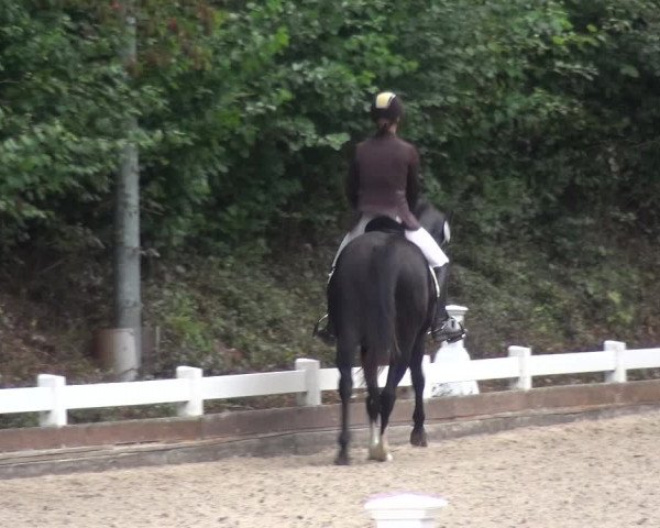 Reitturnier Mettmann - Reitanlage Löckenhoff 2017