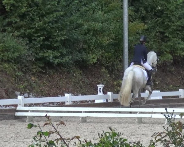 Reitturnier Mettmann - Reitanlage Löckenhoff 2017