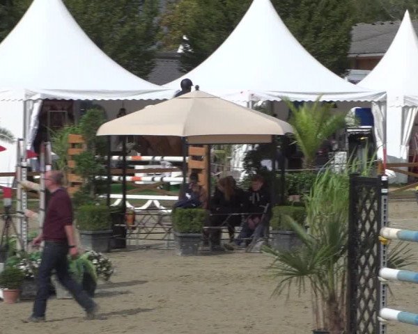 Reitturnier Köln - Reitanlage Brüse 2017