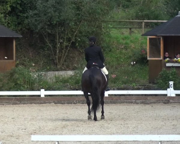 Reitturnier Mettmann - Reitanlage Löckenhoff 2017