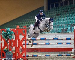 jumper Colorits Tochter A (German Sport Horse, 2009, from Colorit)