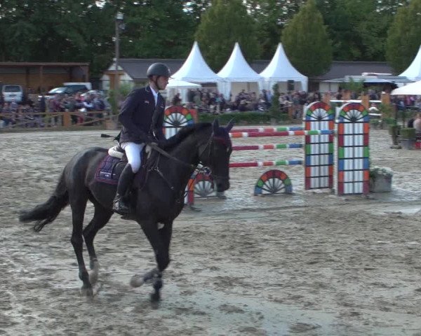 Reitturnier Köln - Reitanlage Brüse 2017