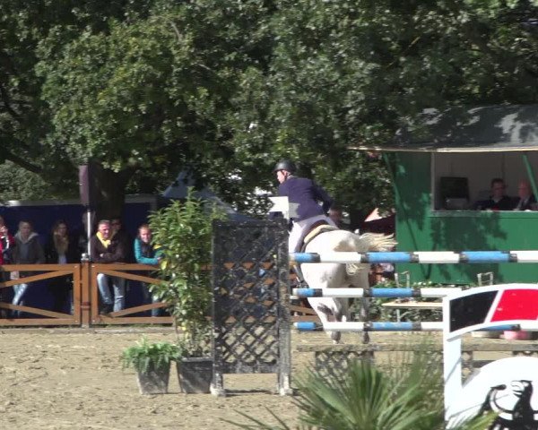 Reitturnier Köln - Reitanlage Brüse 2017