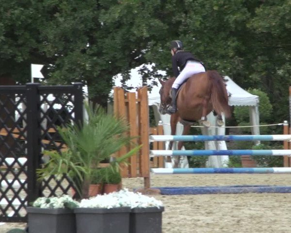 Reitturnier Köln - Reitanlage Brüse 2017