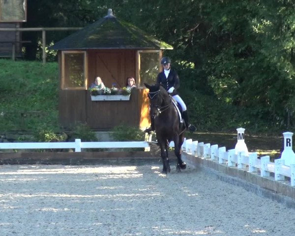 Reitturnier Mettmann - Reitanlage Löckenhoff 2017