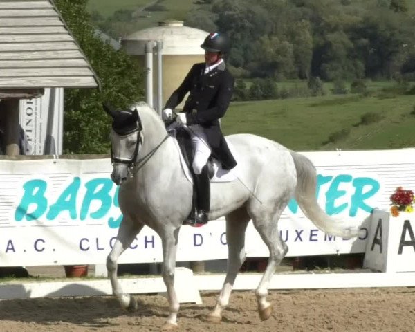 Reitturnier Hünsdorf-Ecurie Josy Hoffmann 2017