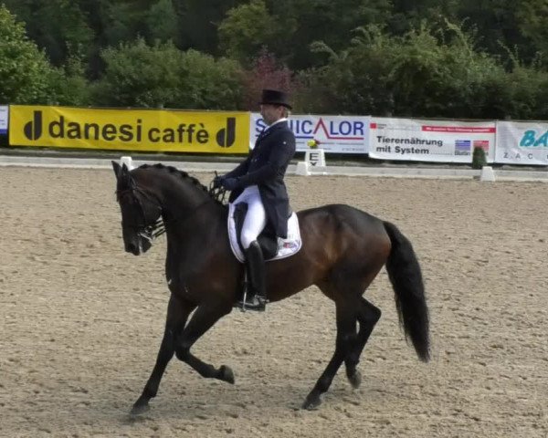 Reitturnier Hünsdorf-Ecurie Josy Hoffmann 2017