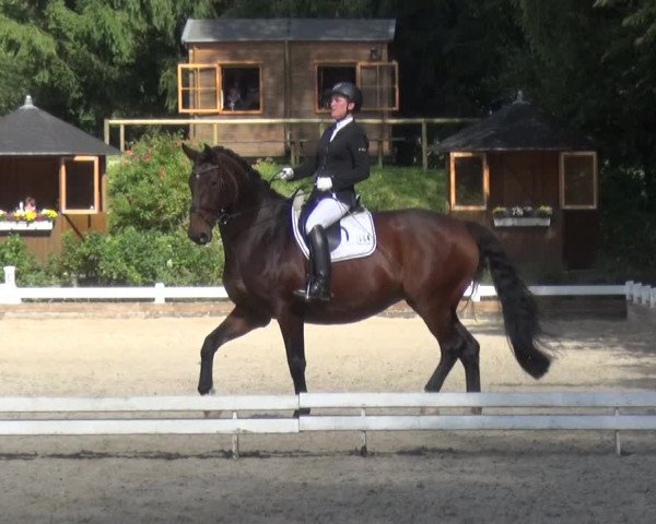 Reitturnier Mettmann - Reitanlage Löckenhoff 2017