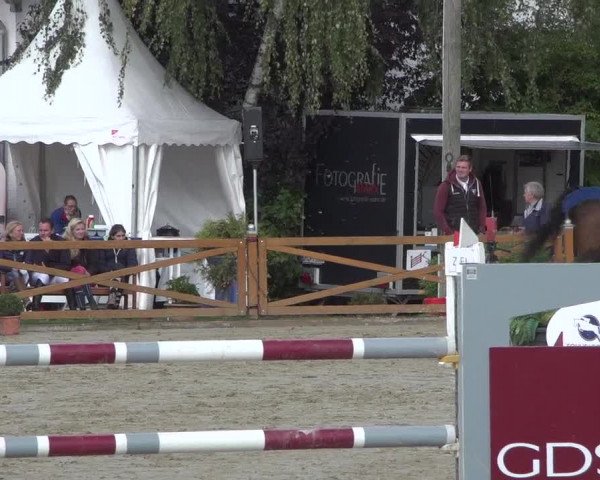 Reitturnier Köln - Reitanlage Brüse 2017