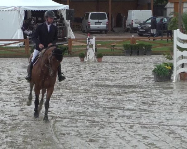 Reitturnier Köln - Reitanlage Brüse 2017