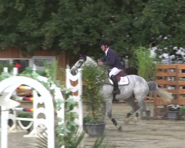 Reitturnier Köln - Reitanlage Brüse 2017