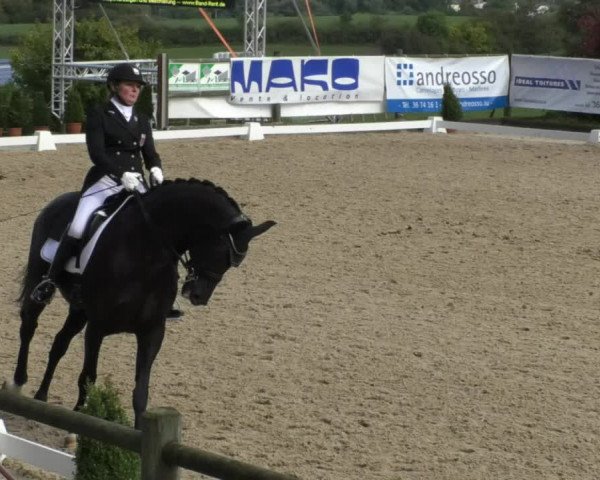 Reitturnier Hünsdorf-Ecurie Josy Hoffmann 2017