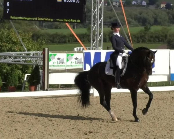 Reitturnier Hünsdorf-Ecurie Josy Hoffmann 2017