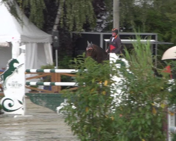 Reitturnier Köln - Reitanlage Brüse 2017