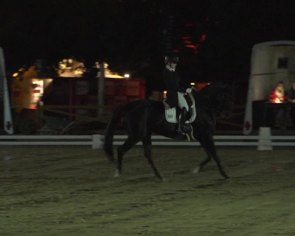Reitturnier Köln - Reitanlage Brüse 2017