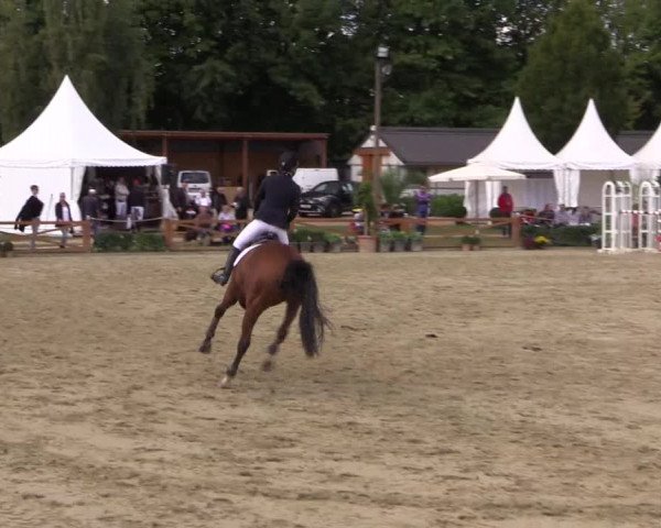 Reitturnier Köln - Reitanlage Brüse 2017