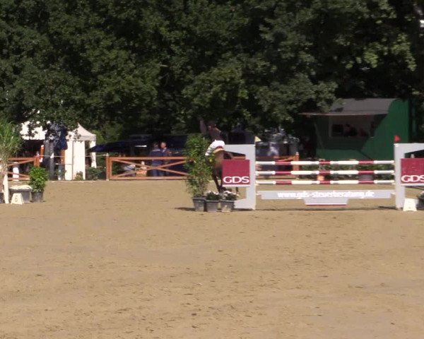 Reitturnier Köln - Reitanlage Brüse 2017