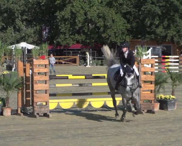 Reitturnier Köln - Reitanlage Brüse 2017