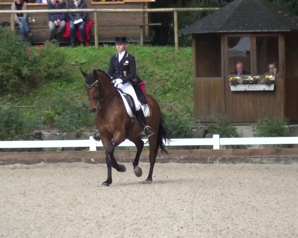 Reitturnier Mettmann - Reitanlage Löckenhoff 2017