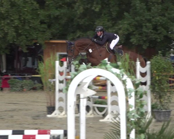 Reitturnier Köln - Reitanlage Brüse 2017