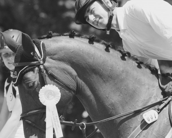 jumper Queen May (Hanoverian, 2011, from FRH Quaid)
