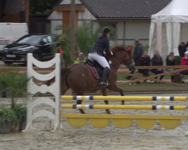 Reitturnier Köln - Reitanlage Brüse 2017